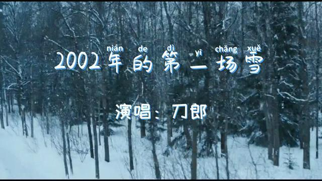 2002年的第一场雪是几月几号？