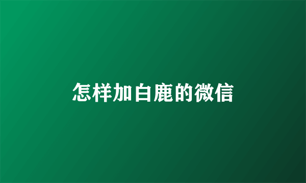 怎样加白鹿的微信