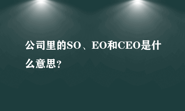 公司里的SO、EO和CEO是什么意思？