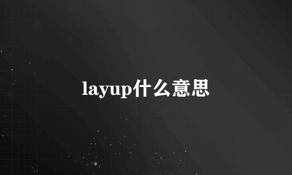 layup什么意思