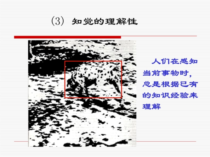 知觉的理解性是什么呢？