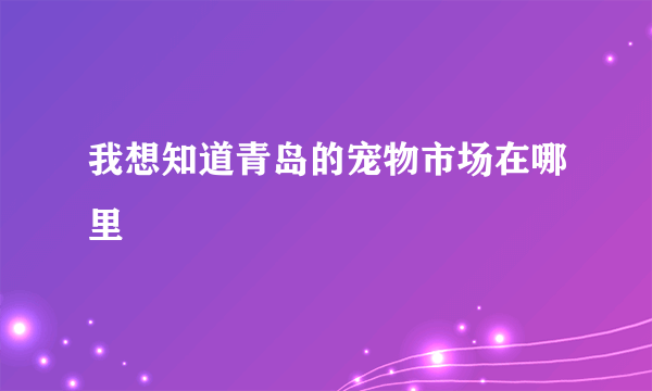 我想知道青岛的宠物市场在哪里