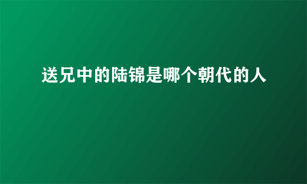 送兄中的陆锦是哪个朝代的人