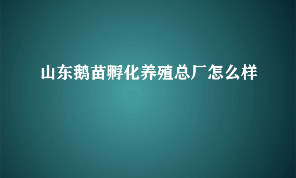 山东鹅苗孵化养殖总厂怎么样