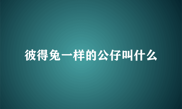 彼得兔一样的公仔叫什么