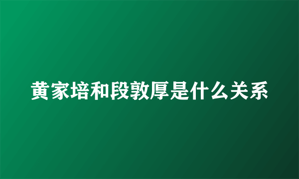 黄家培和段敦厚是什么关系