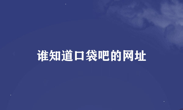 谁知道口袋吧的网址