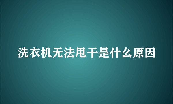 洗衣机无法甩干是什么原因