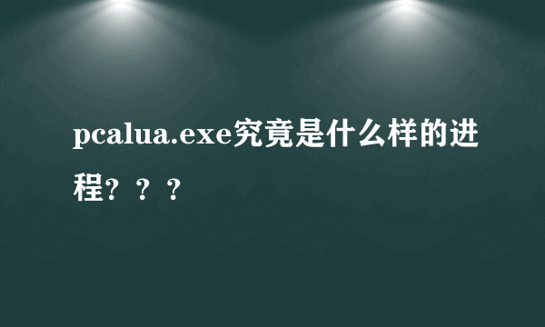 pcalua.exe究竟是什么样的进程？？？