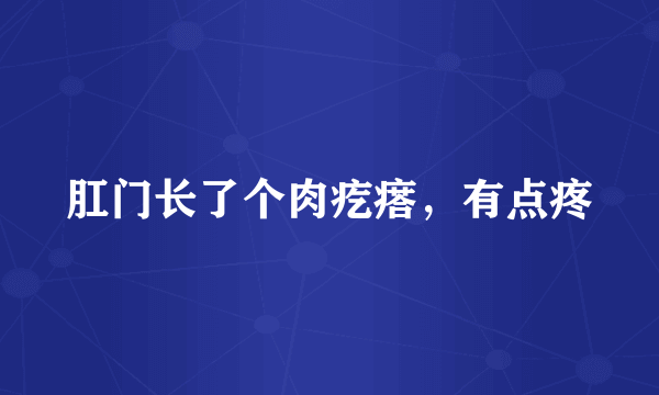 肛门长了个肉疙瘩，有点疼