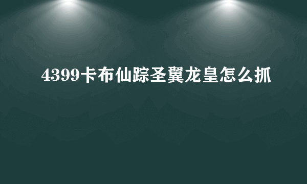 4399卡布仙踪圣翼龙皇怎么抓