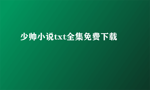 少帅小说txt全集免费下载