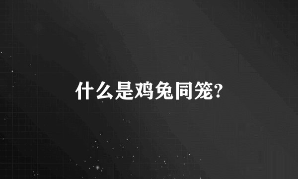 什么是鸡兔同笼?