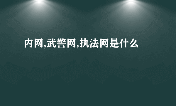 内网,武警网,执法网是什么