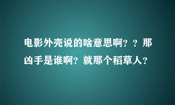 电影外壳说的啥意思啊？？那凶手是谁啊？就那个稻草人？