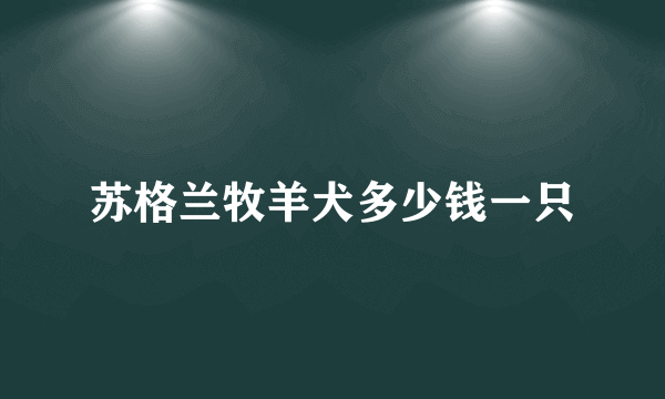 苏格兰牧羊犬多少钱一只