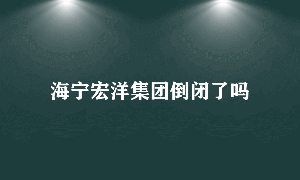 海宁宏洋集团倒闭了吗