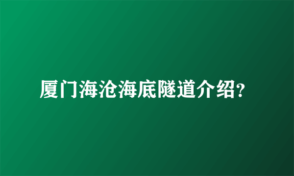 厦门海沧海底隧道介绍？