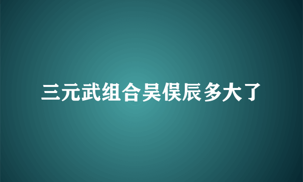 三元武组合吴俣辰多大了