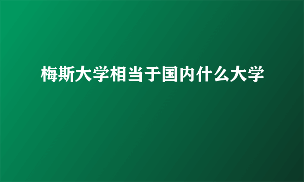 梅斯大学相当于国内什么大学