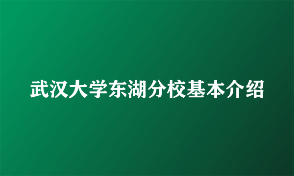 武汉大学东湖分校基本介绍