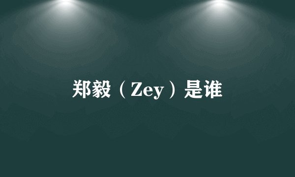 郑毅（Zey）是谁