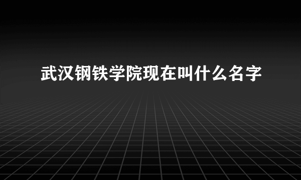 武汉钢铁学院现在叫什么名字