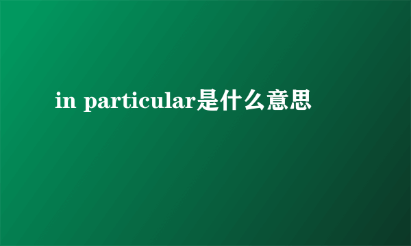 in particular是什么意思