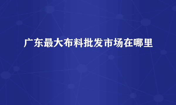 广东最大布料批发市场在哪里