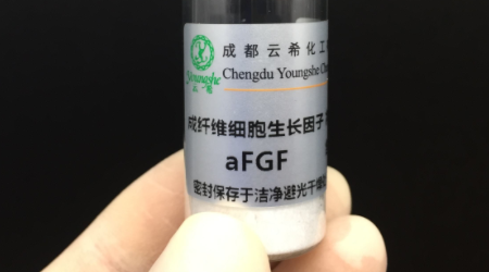 egf是什么?