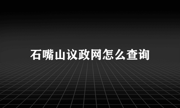 石嘴山议政网怎么查询