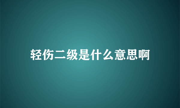 轻伤二级是什么意思啊