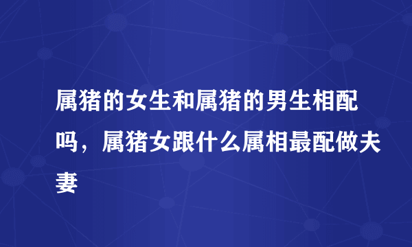 属猪的女生和属猪的男生相配吗，属猪女跟什么属相最配做夫妻