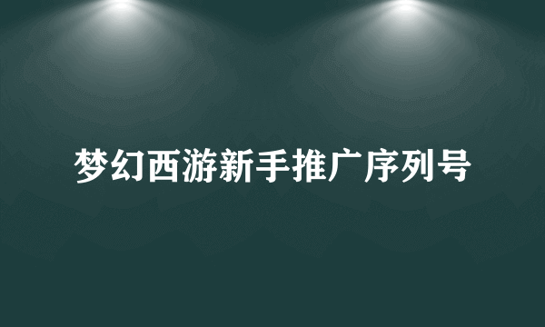 梦幻西游新手推广序列号