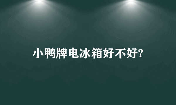 小鸭牌电冰箱好不好?