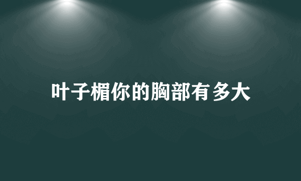 叶子楣你的胸部有多大