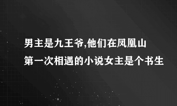 男主是九王爷,他们在凤凰山第一次相遇的小说女主是个书生