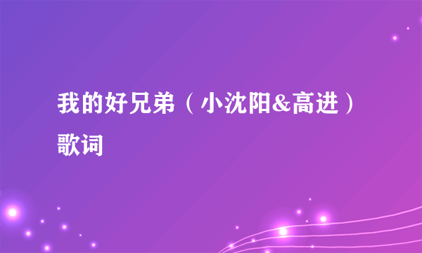 我的好兄弟（小沈阳&高进）歌词