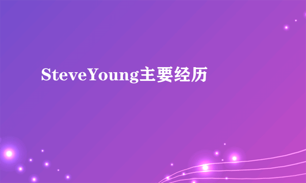 SteveYoung主要经历