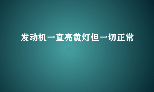 发动机一直亮黄灯但一切正常