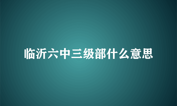 临沂六中三级部什么意思