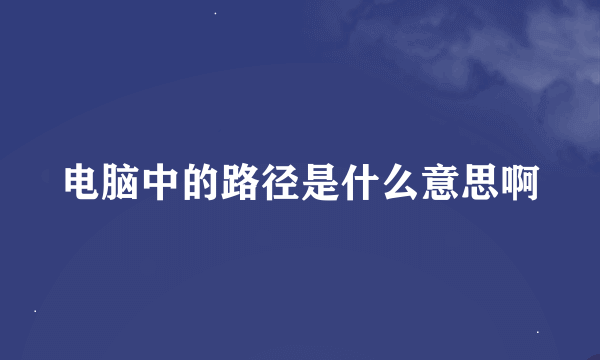 电脑中的路径是什么意思啊