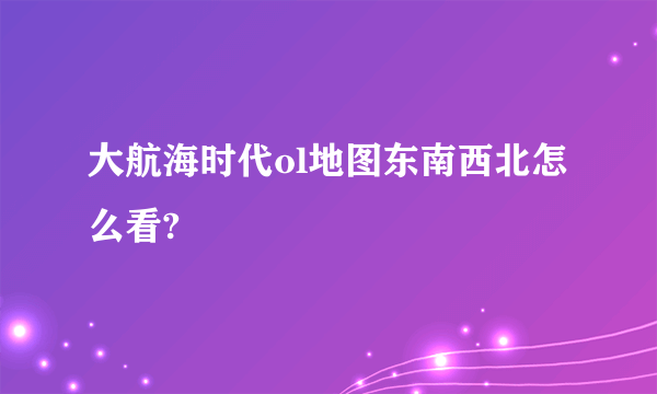 大航海时代ol地图东南西北怎么看?