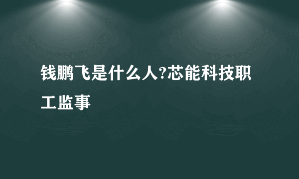 钱鹏飞是什么人?芯能科技职工监事