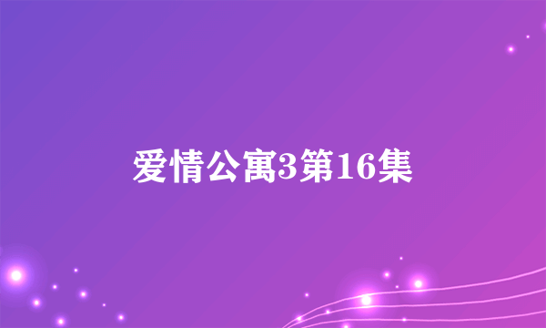 爱情公寓3第16集