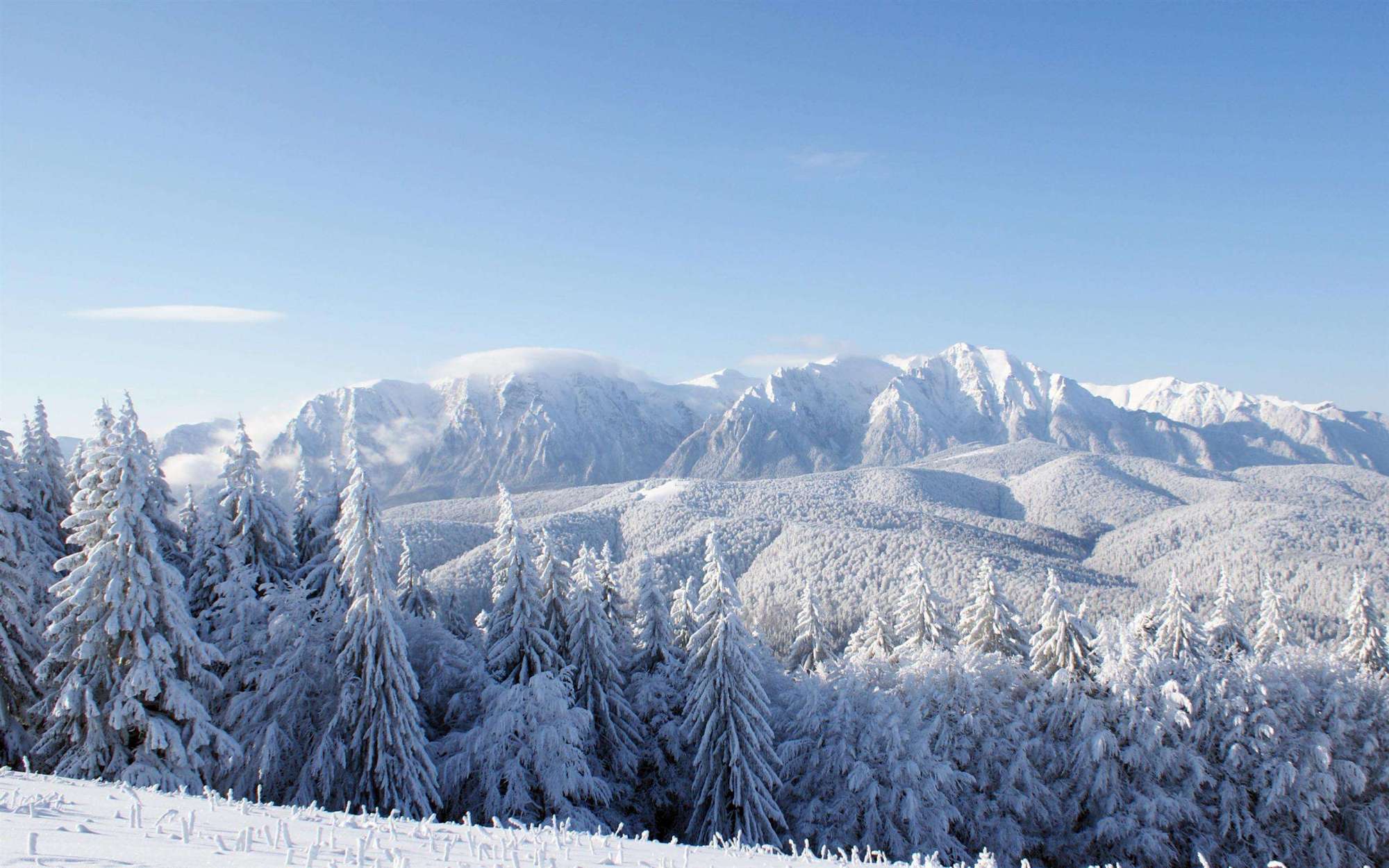 今冬真的是60年来最冷冬天最强降雪吗？气象专家持何种态度？