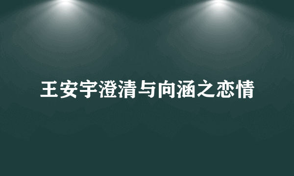 王安宇澄清与向涵之恋情