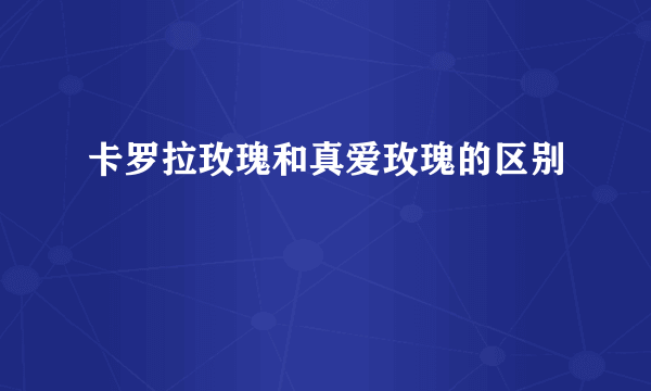 卡罗拉玫瑰和真爱玫瑰的区别