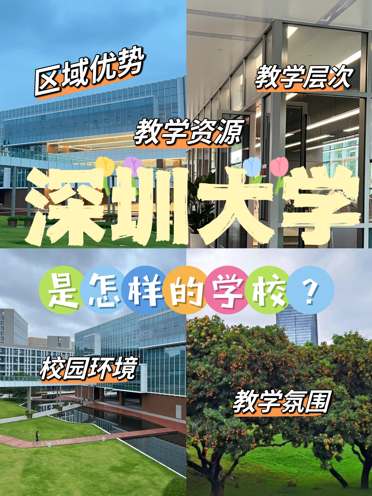 深圳大学怎么样？