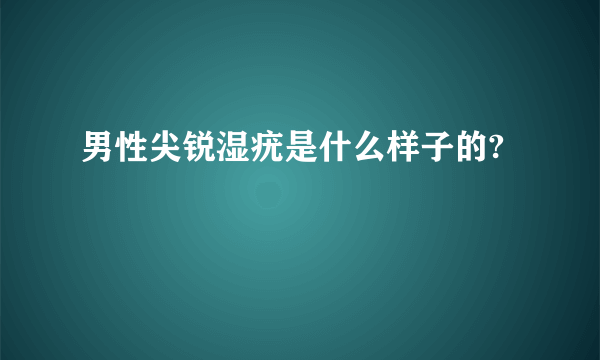 男性尖锐湿疣是什么样子的?